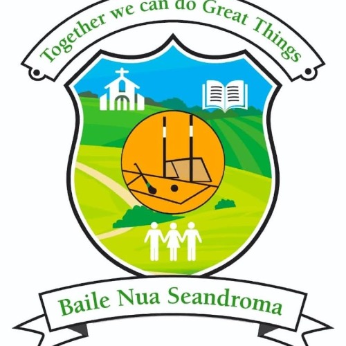 Newtownshandrum Camogie Last One Standing 