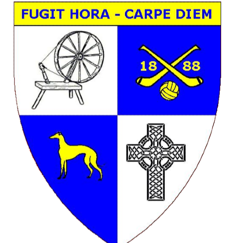 Dromina Gaa Last Man Standing